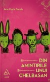 Cumpara ieftin Din amintirile unui Chelbasan - Paperback brosat - Ana Maria Sandu - Art