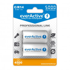 R14 C 5000mAh Rechargeables everActive Professional Line-Conținutul pachetului 1x Blister