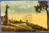 Campulung (Muscel) - Biserica Flamanda - 1929 - printata, circulata, timbre, Necirculata, Fotografie, Arges
