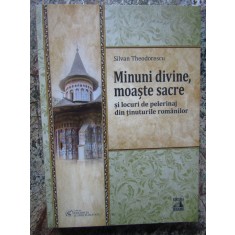 Minuni divine, moaste sacre, Silvan Theodorescu