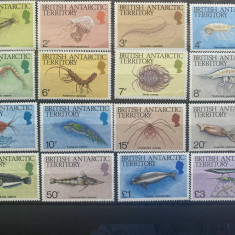 Teritoriul Antarctic Britanic (BAT) 1984 Fauna marina/ Pesti, serie MNH, 16v