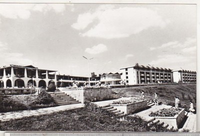 bnk cp Mangalia - Vedere - necirculata foto