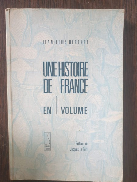 Jean-Louis Berthet - Une histoire de France en 1 volume