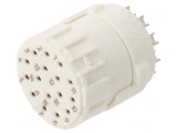 Conector M16 7.001.916.104