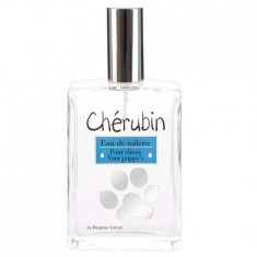 Beaphar Parfum Caine Cherubin Puppy 50 ml foto