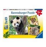Cumpara ieftin Puzzle 3 in 1 - Panda, leu si tigru, 147 piese