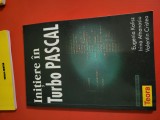 Inițiere &icirc;n Turbo Pascal vintage, 2001