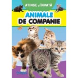 Animale de companie (Atinge si invata)