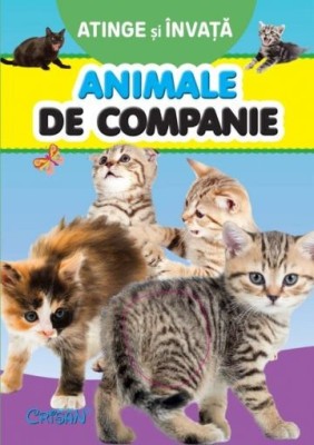 Animale de companie (Atinge si invata) foto