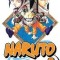Naruto, Volume 9