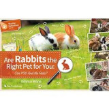 Are rabbits the right pet for you