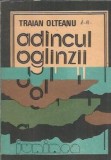 Adancul oglinzii Traian Olteanu Editura Junimea An 1984 237 Pagini Literatura Romana Editie Veche