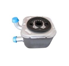 Radiator racire ulei motor, termoflot Audi A4 (B6), 10.2000-10.2005, motor 4.2 V8, 253 kw, benzina, 2.5 TDI, diesel, Audi A6 (C5), 07.1999-05.2001, A