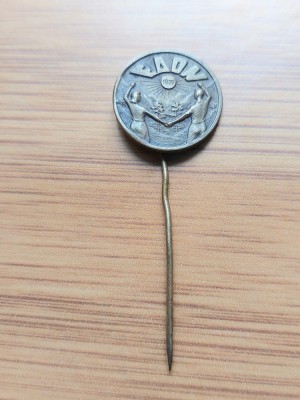 Insigna EAON Anul 1959 foto