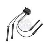 Meat &amp;amp; Doria bobina de inductie