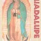 A Handbook on Guadalupe