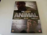 Animal - 596, DVD, Altele
