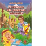 Frumoasa din padurea adormita - Carte de colorat + poveste (format B5)