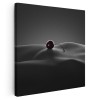 Tablou nud femeie cireasa ab, negru 2068 Tablou canvas pe panza CU RAMA 80x80 cm