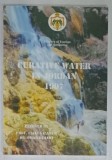 CURATIVE WATER IN JORDAN by ELIAS SALAMEH and OMAR RIMAWI , 1997