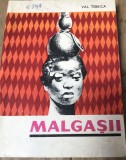 LITR26 Malgasii - Val Tebeica