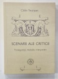 SCENARII ALE CRITICII , PROTAGONISTI , METODE , INTERPRETARI de CALIN TEUTISAN , 2021