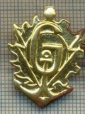 Y 1817 INSIGNA - MILITARA -SEMN DE ARMA - GENIU -PENTRU COLECTIONARI