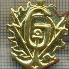 Y 1817 INSIGNA - MILITARA -SEMN DE ARMA - GENIU -PENTRU COLECTIONARI