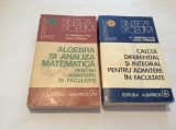 CALCUL DIFERENTIAL SI INTEGRAL/ALGEBRA SI ANALIZA MATEMATICA IONESCU-TIU-PARSAN