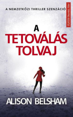 A tetov&amp;aacute;l&amp;aacute;s tolvaj - K&amp;ouml;vesd a v&amp;eacute;r &amp;eacute;s a tinta nyomait - Alison Belsham foto