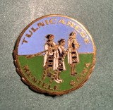 Insigna Tulnicarese Muntele Gaina