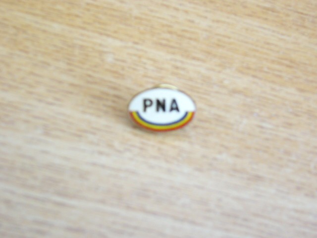 QW9 - I 51 - Insigna - tematica justitie - initialele PNA