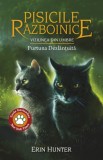 Pisicile Razboinice Vol.36: Viziunea din umbre: Furtuna Dezlantuita - Editura Grupul All