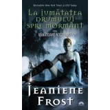 La jumatatea drumului spre mormant. Vanatoare nocturna, volumul 1 - Jeanine Frost