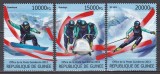Guineea 2013 - Jocurile Olimpice de iarnă - Soci, MNH