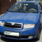 vand skoda fabia 1