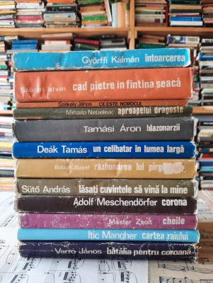 Biblioteca KRITERION - 40 volume cartonate - autori din minoritatile nationale foto