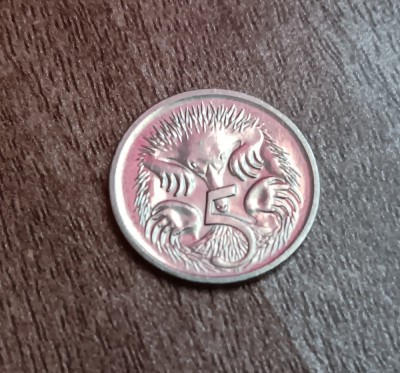 C50 - Moneda foarte veche - 5 centi - Australia - 2003 foto