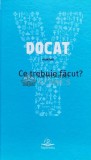 Cumpara ieftin Docat. Ce trebuie facut? - 2017 (D43)