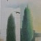 Solitude de la pitie ? Jean Giono