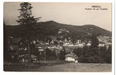 CPI B 11121 CARTE POSTALA - POIANA TAPULUI. VEDERE SPRE CIOPLEA, RPR foto