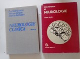 Două cărți medicină, tematică NEUROLOGIE.