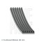 BLUE PRINT AD06R2605 Curea transmisie cu caneluri