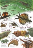 Scales And Tails |, Autumn Publishing Ltd