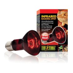 Lampa termica EXOTERRA INFRARED BASKING SPOT 100W foto