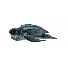 Broasca Testoasa de Mare M - Animal figurina