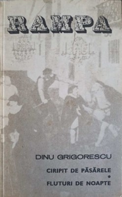 CIRIPIT DE PASARELE. FLUTURI DE NOAPTE-DINU GRIGORESCU-244424 foto