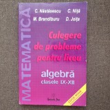 CULEGERE DE PROBLEME PENTRU LICEU CLASELE IX-XII C NASTASESCU