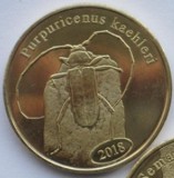 Sumatra de nord 500 rupie 2018 UNC Purpuricenus Kaehleri