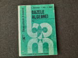 Bazele algebrei C.Nastasescu,C.Nita,C.Vraciu RF19/4